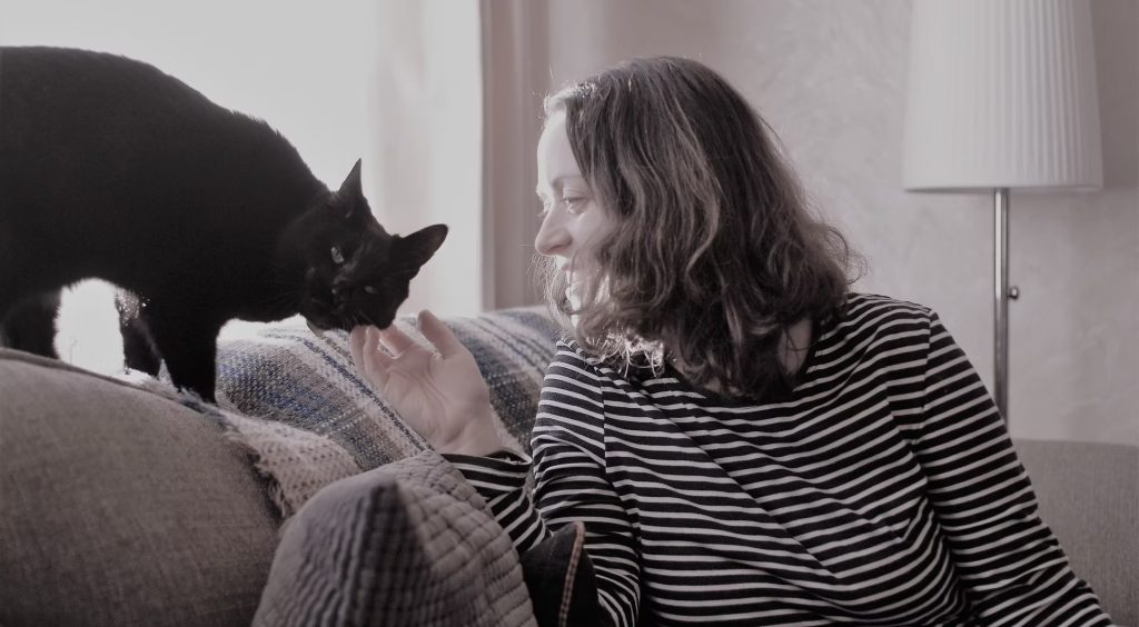 Pet Sitters High Peak